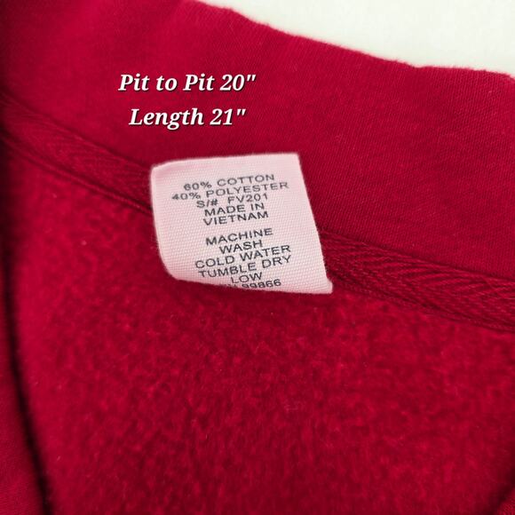 Rosio Medium V-Neck Nebraska Collegiate Pullover Sweatshirt - Picture 6 of 6